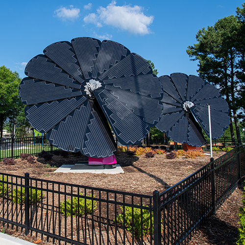 Solar flower farm